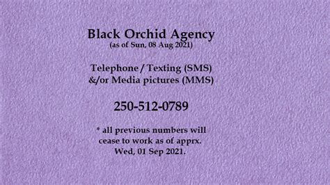 black orchid agency photos